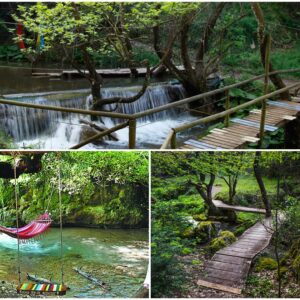 Κυριακή 17/5 ΚΑΤΑΠΡΑΣΙΝΟ MONOHMEΡΟ  ΠΑΥΛΙΑΝΗ ΚΑΙ ΑΜΦΙΚΛΕΙΑ!